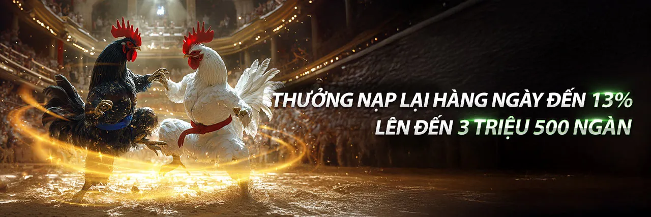 Đá Gà Thomo Trận 54 C3 – Sân đấu kịch tính